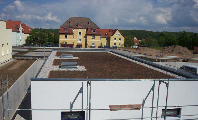 Gründach in Grimma